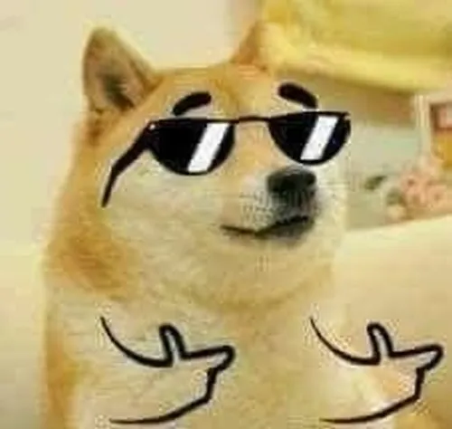 100 Ảnh Avatar Chó Meme Hài Hước Nhây Bựa cho hội người không thích nghiêm túc